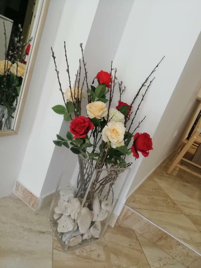 Studio Rose بولا المظهر الخارجي الصورة