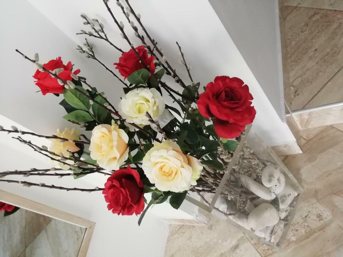 Studio Rose بولا المظهر الخارجي الصورة
